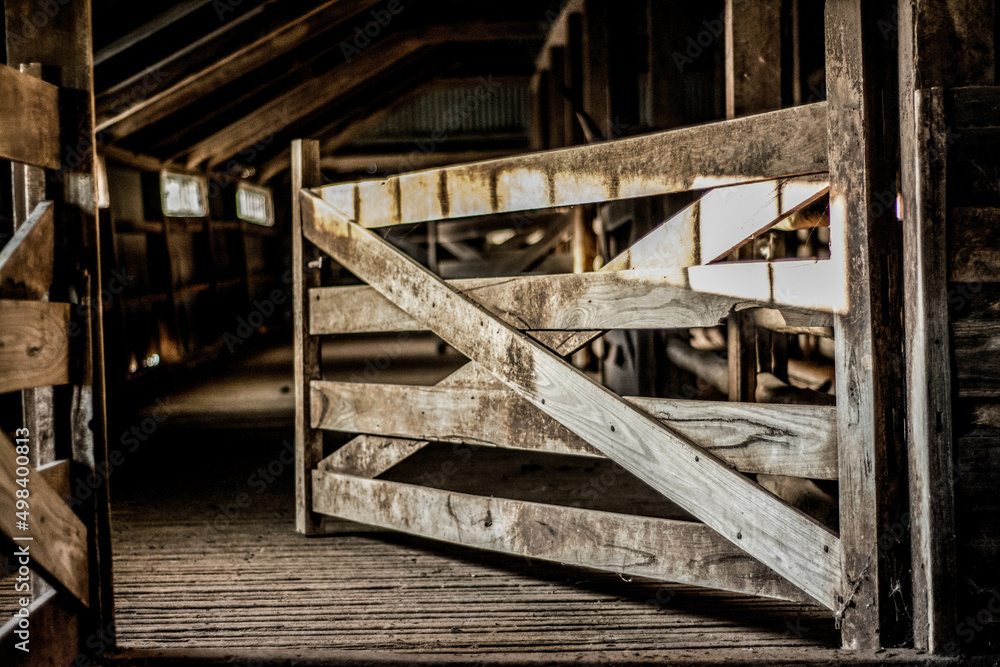 Obraz premium old wooden gate