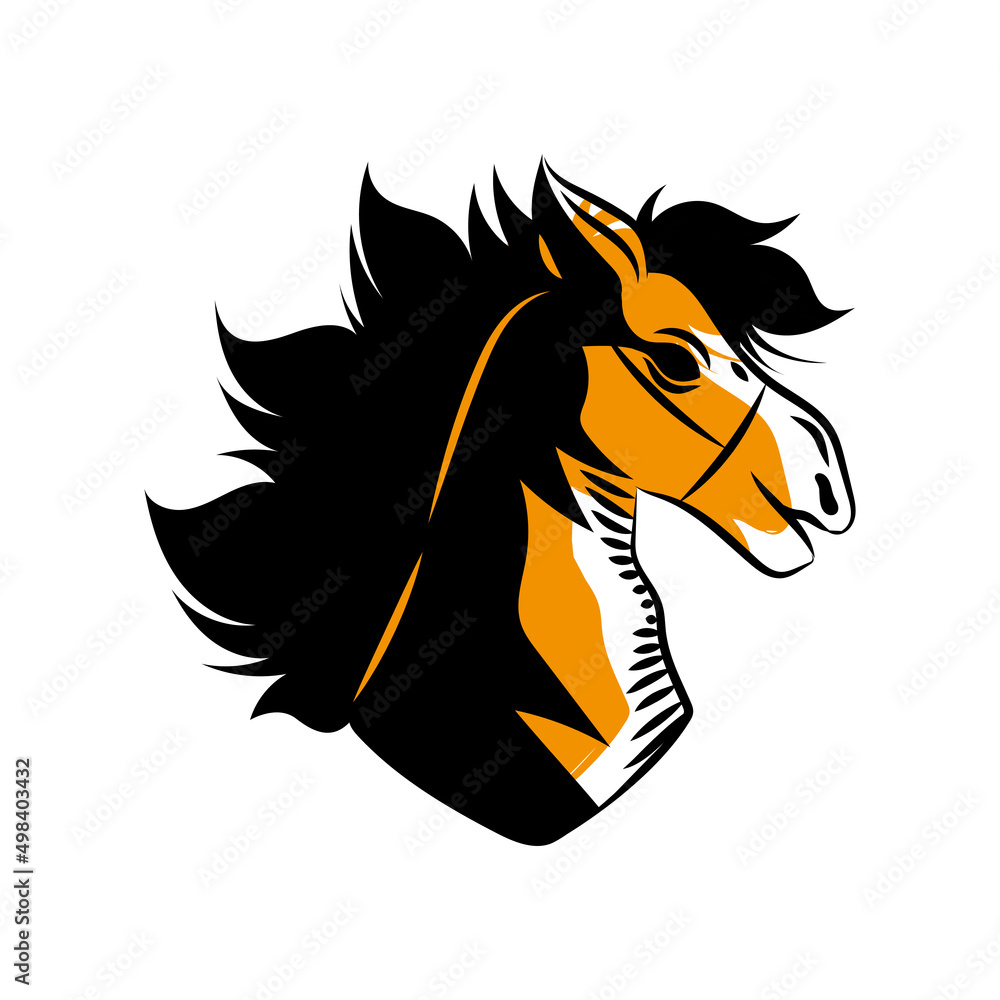 Fototapeta premium horse head west animal