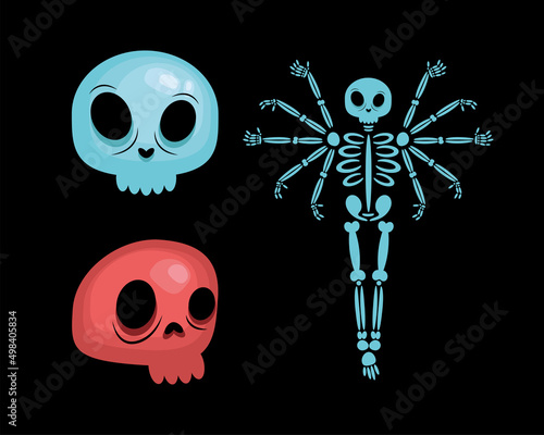 skeleton and skulls