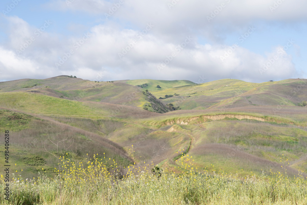 Obraz premium landscape with mountains