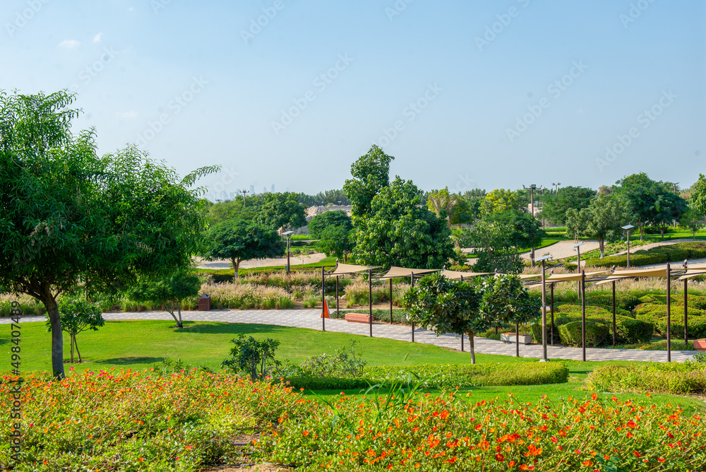 Fototapeta premium very beautiful green azone in Dubai Zoo