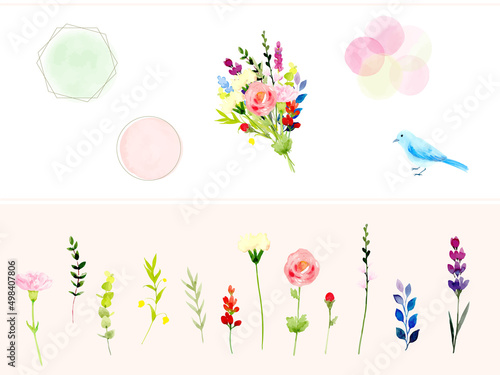 透明水彩で描いた綺麗な花素材とフレームのセット