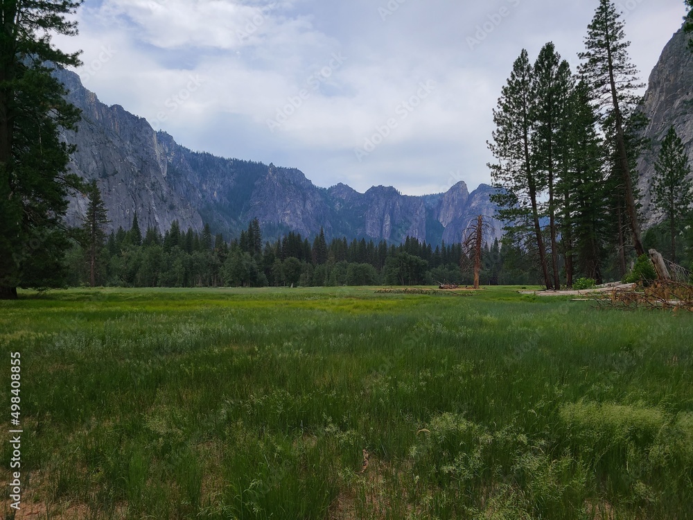 Grasslands of Yosemite Valley on a cloudy day
