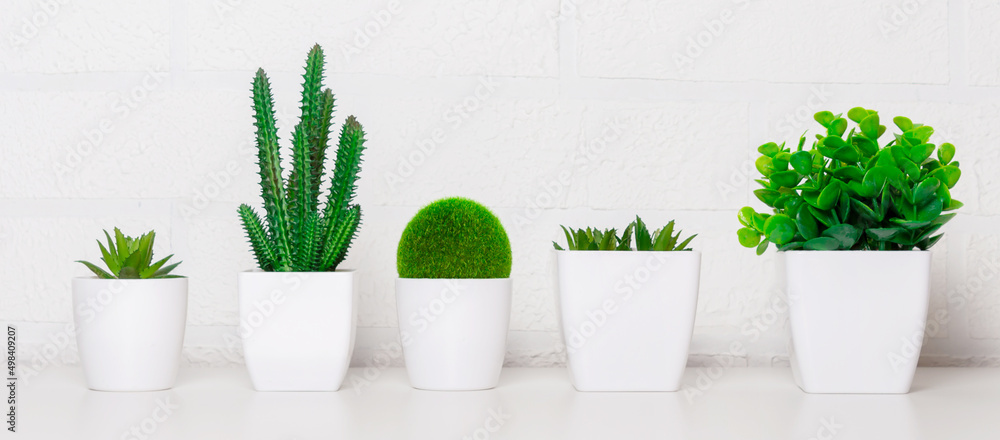 Set artificial flowers, succulents, grass and greenery.