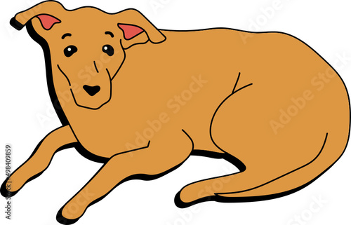 Stray Dog