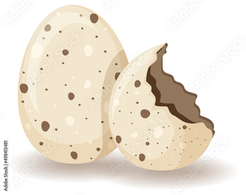 Egg shell cracking on white background