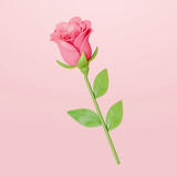 3D Pink rose