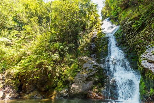 Waterfalls flowing at Wentworth Valley in Coromandel Peninsula  New Zealand