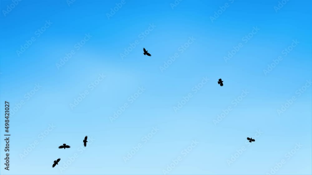 Panoramic view from flying birds Travel in the wild in the air Loop Bckgrounds. Sunrise, tranquil spring or autumn nature background, natural spring or summer weather concept, ecology and nature Panoramic view from flying birds Travel in the wild in the air Loop Bckgrounds. Sunrise, tranquil spring or autumn nature background, natural spring or summer weather concept, ecology and nature