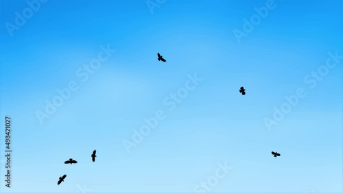 Panoramic view from flying birds Travel in the wild in the air Loop Bckgrounds. Sunrise, tranquil spring or autumn nature background, natural spring or summer weather concept, ecology and nature photo