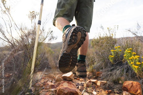 Low section of young male caucasian adventurer with hiking poles amidst plants in wilderness