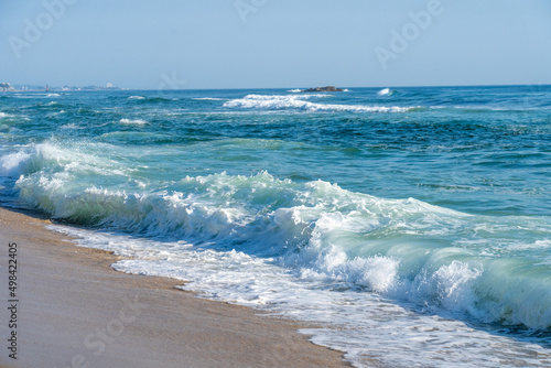 Surfers' Paradise 강릉 해변