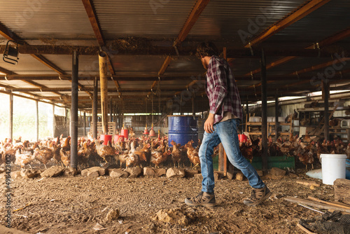 Young male farmer walking while by flock of hens in pen at organic farm photo