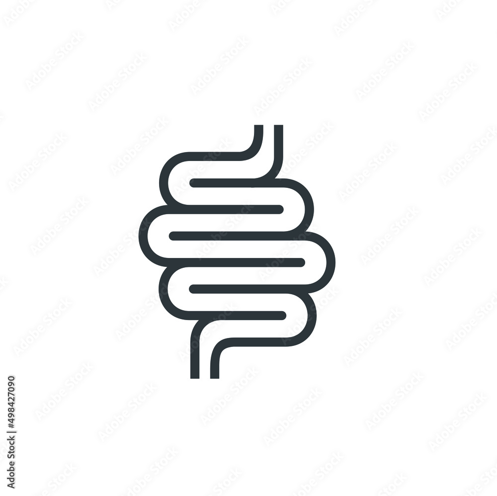 illustration of intestines, vector art. illustration of intestines, vector art.