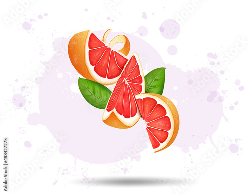 Grapefruit slices vector illustration with green leaves isolated on white background
