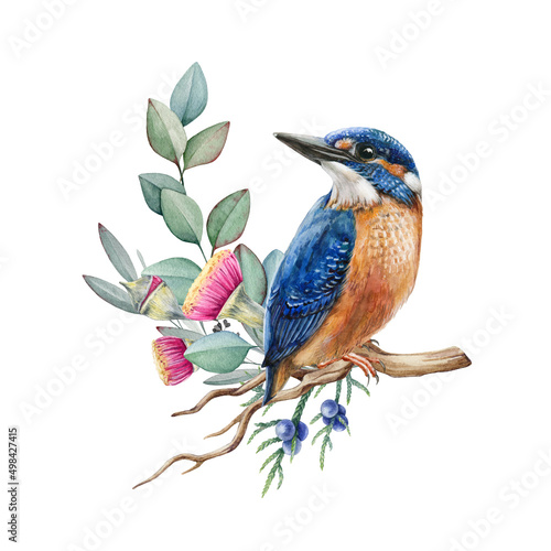 Obraz na płótnie Kingfisher bird on eucalyptus branch