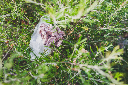 plastic bags and litter abandoned in nature among beautiful plants, respecting the environment and avoiding single-use plastic