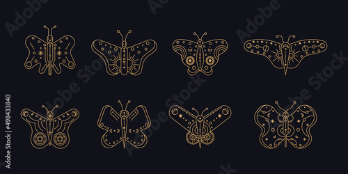 Butterfly line art. Set of butterfly line art. Minimal boho linear symbols. Celestial mystic element. Vector line art illustration.