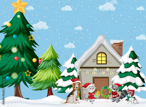 Christmas holidays with pets at home