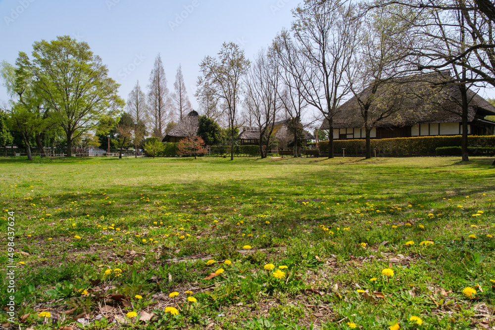 Obraz premium 茅葺屋根と庭