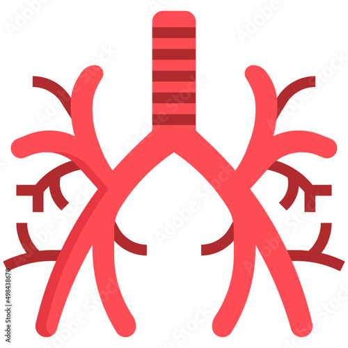 BRONCHUS flat icon