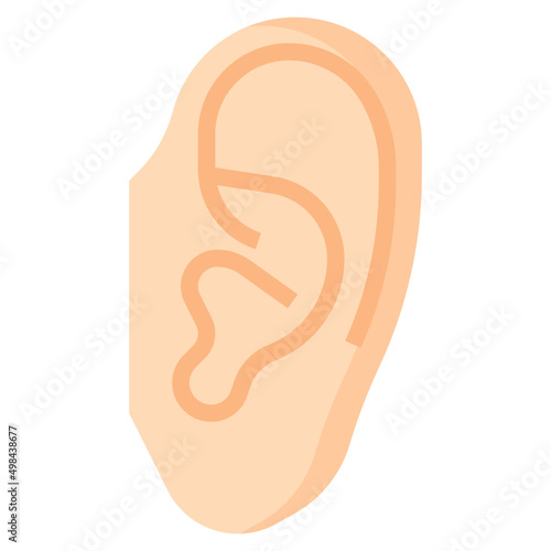 EAR flat icon