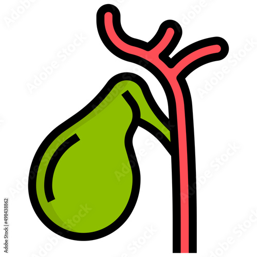 GALLBLADDER filled outline icon