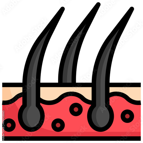 HAIR filled outline icon