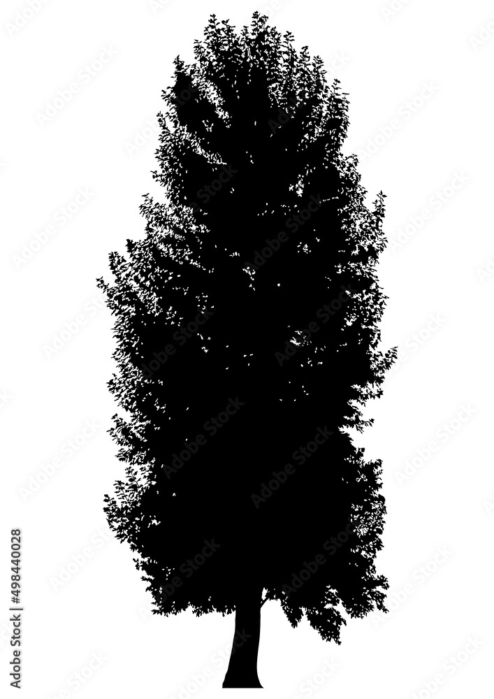 Silhouette of tree Silhouette of tree