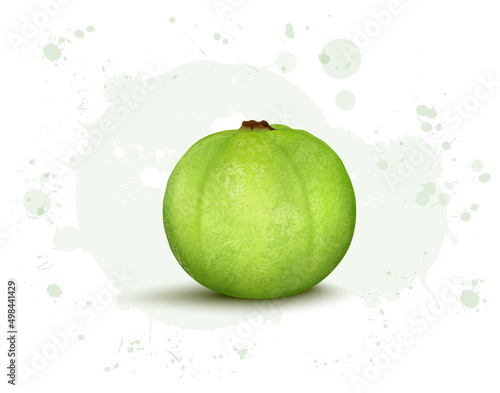 Fresh green Guava fruit vector illustration on white background