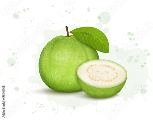 Fresh green guava vector illustration with half piece of guava 