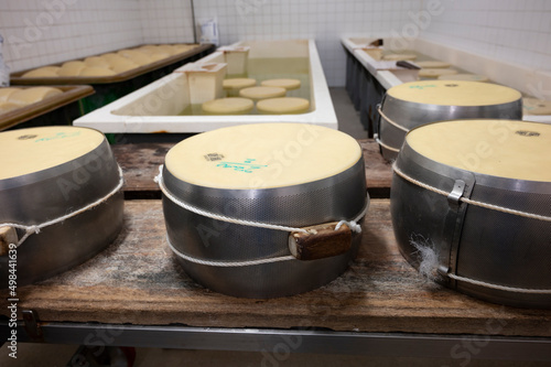 Canvas-taulu Process of making parmigiano-reggiano parmesan cheese on small cheese farm in Pa