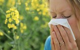 woman with allergy sneezing because of pollen blowing her nose with yellow flower background stock photo