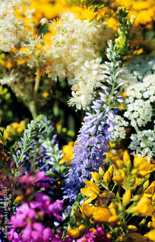 Summer bouquet of wild field flowers from the meadow. Beautiful florals on sunny day.