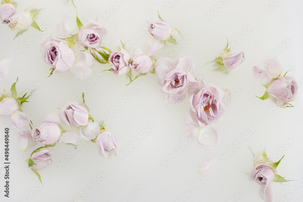 Milk bath with pink roses and petals. Top view Milk bath with pink roses and petals. Top view