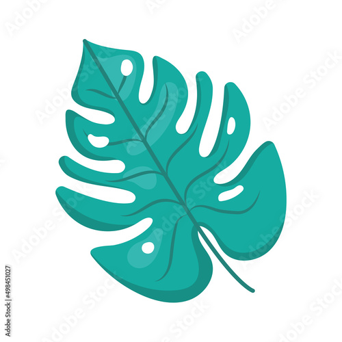 exotic tropical leaf