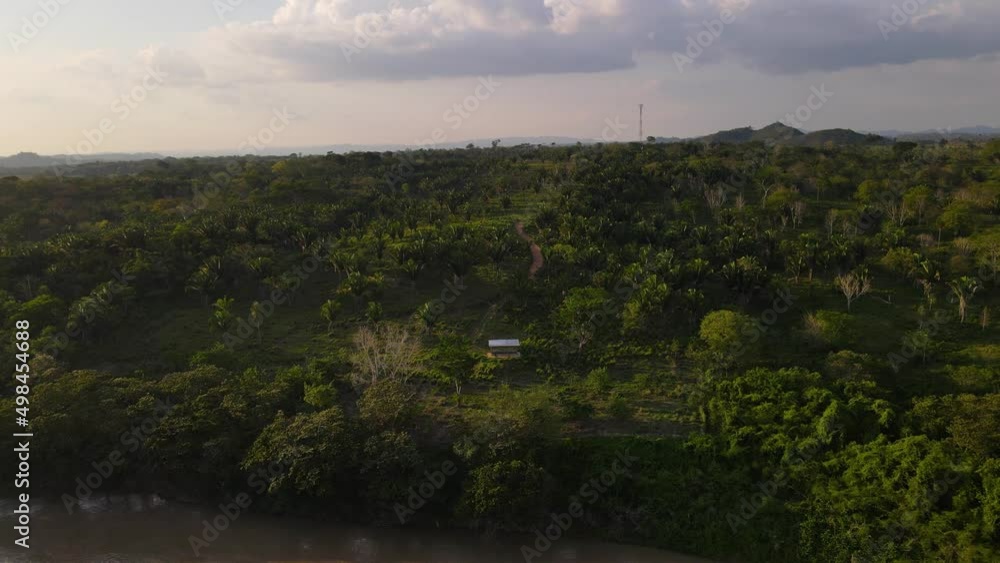 Aerial: remote jungle community on riverbank, rainforest tribe near river Aerial: remote jungle community on riverbank, rainforest tribe near river