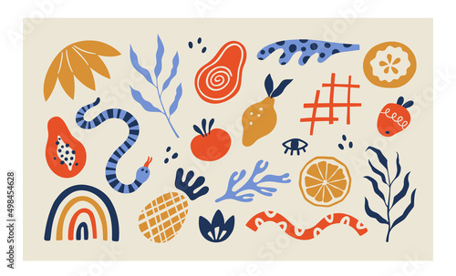 Organic blobs, tropic fruits and leaves in matisse style. Set of trendy doodle abstract elements. Bundle with natural shapes, random freehand matisse collection. Vector illustration.