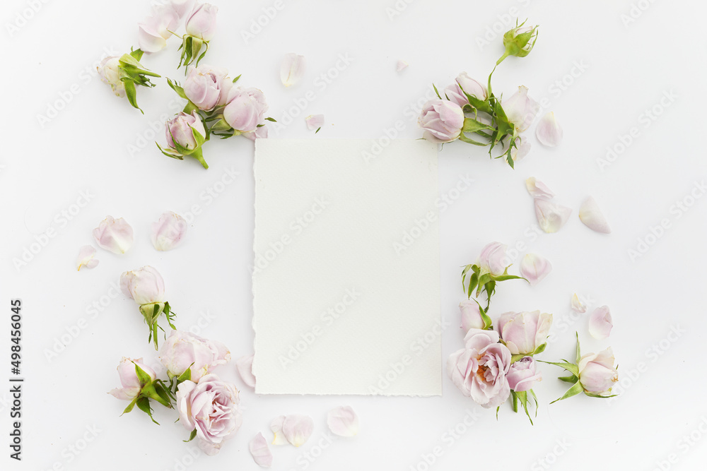 Framework from roses and petals on white background. Flat lay.