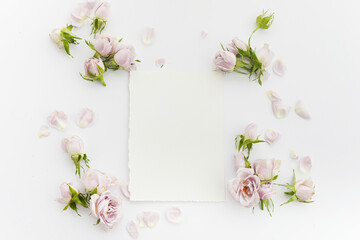 Framework from roses and petals on white background. Flat lay.