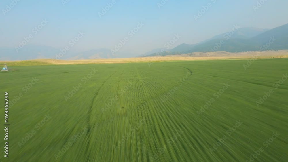 FPV drone flying over a green wheat field, clear blue sky. Agricultural industry
FPV drone flying over a green wheat field, clear blue sky. Agricultural industry