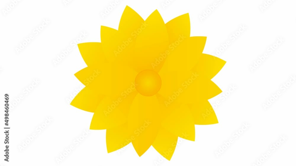 Animated yellow flower blossoms. Vector illustration isolated on white background. Animated yellow flower blossoms. Vector illustration isolated on white background.