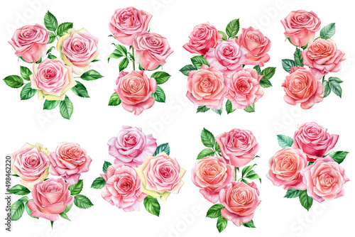 Pink roses on white isolated background  watercolor botanical illustration. Flora design elements