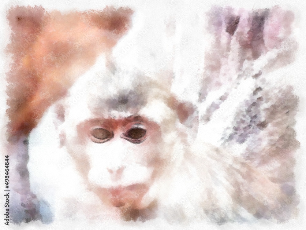 Monkey's face in various gestures watercolor style illustration impressionist painting.
