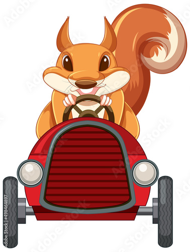 Squirrel driving red car