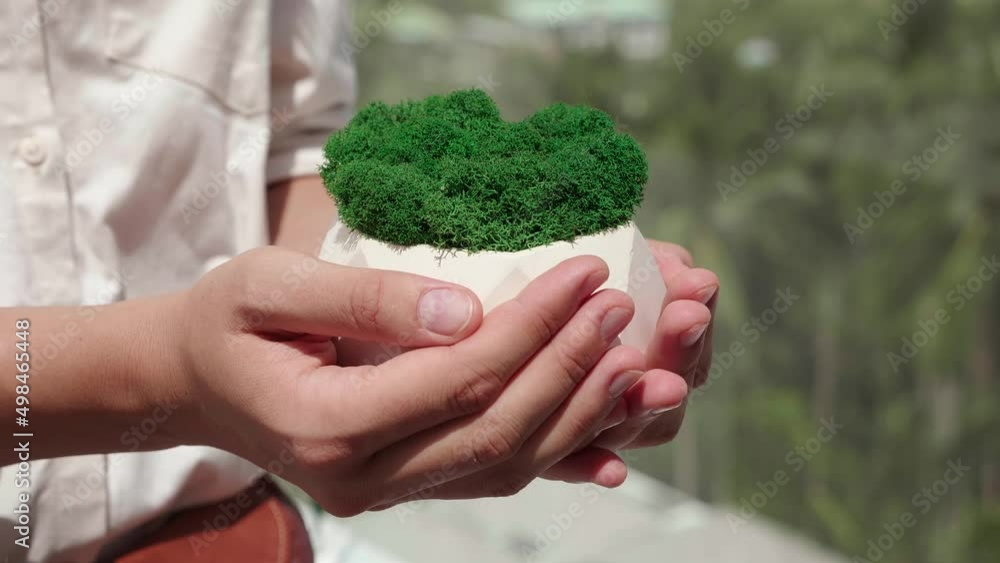 Girl Decorating and Creating Comfort at Home with Natural Potted Houseplants. Gardening Concept Girl Decorating and Creating Comfort at Home with Natural Potted Houseplants. Gardening Concept