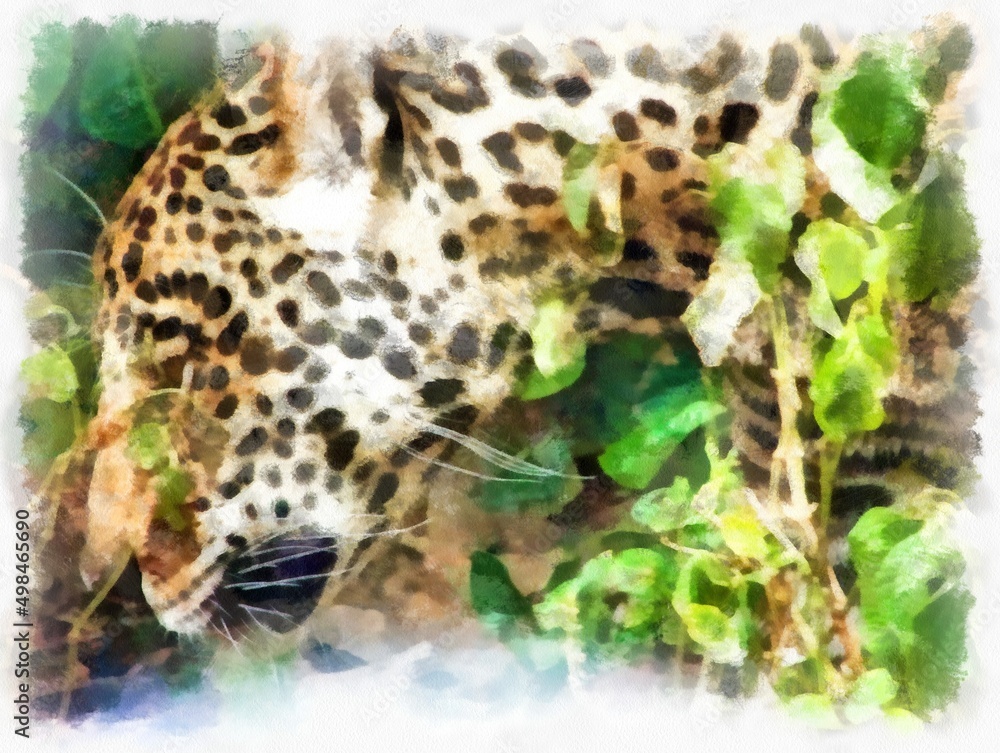 Naklejka premium Leopard in various gestures watercolor style illustration impressionist painting.