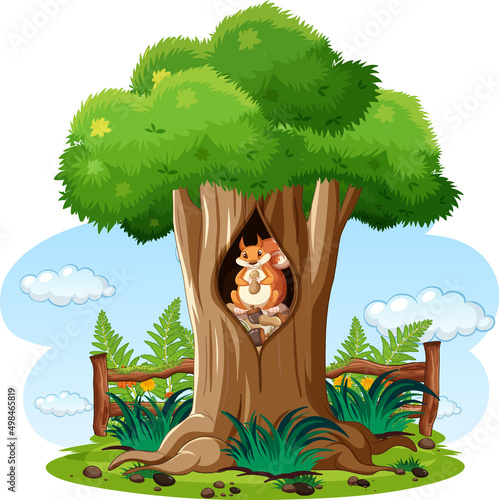 Nature scene with squirrel in the tree