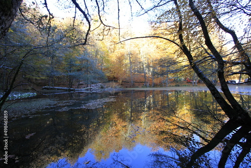 Lake and reflections, you can see the autumn landscape beauties of the leaves falling into the lake and their reflections in Yedigöller - sevenlake Yedigoller Bolu photo