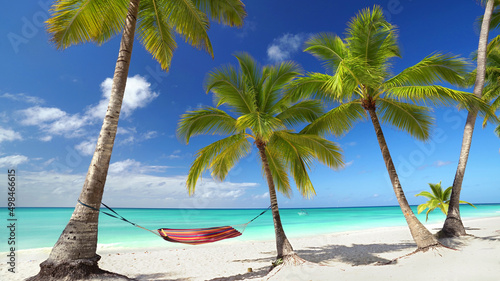  palms and colorful hammock, perfect white sand beach with turquoise water